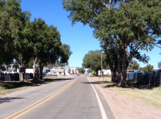 Mile Long Yard Sale image